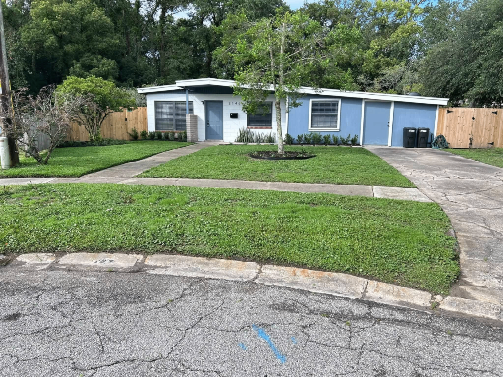 Freshly cut Jacksonville lawn